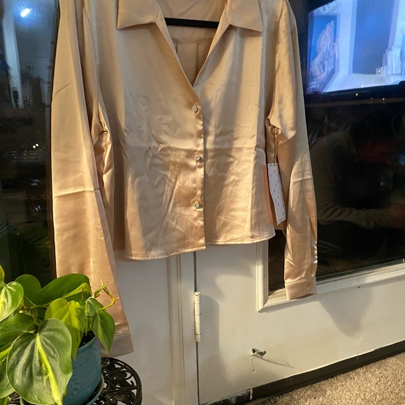 Silky Champagne Blouse with three rhine stone buttons, Size L - Picture 5 of 11